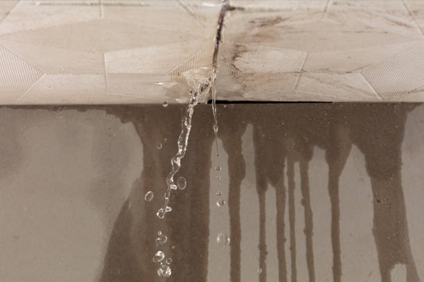 Professional Water Damage Repair technician working in Simonton, TX